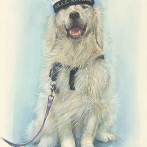 Golden Boy: Navy PTSD Assistance Dog ©2019 (Watercolour, 30 x 40 cm.) $450.00